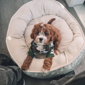 roberto-nickson-To57QlgkoIo-unsplash (1)